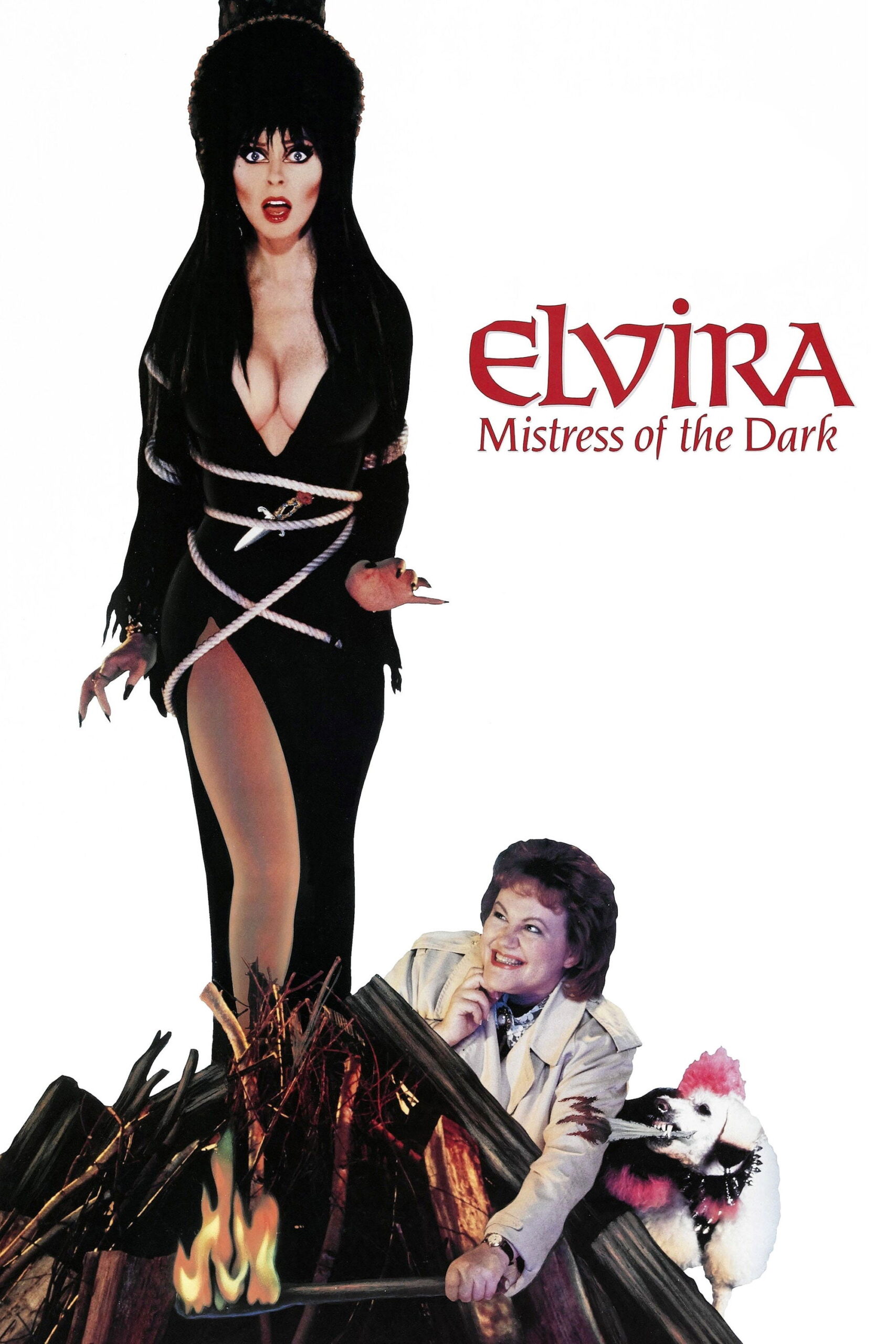 Poster for Elvira: Mistress of the Dark Movie Bingo w/ Violet Hex