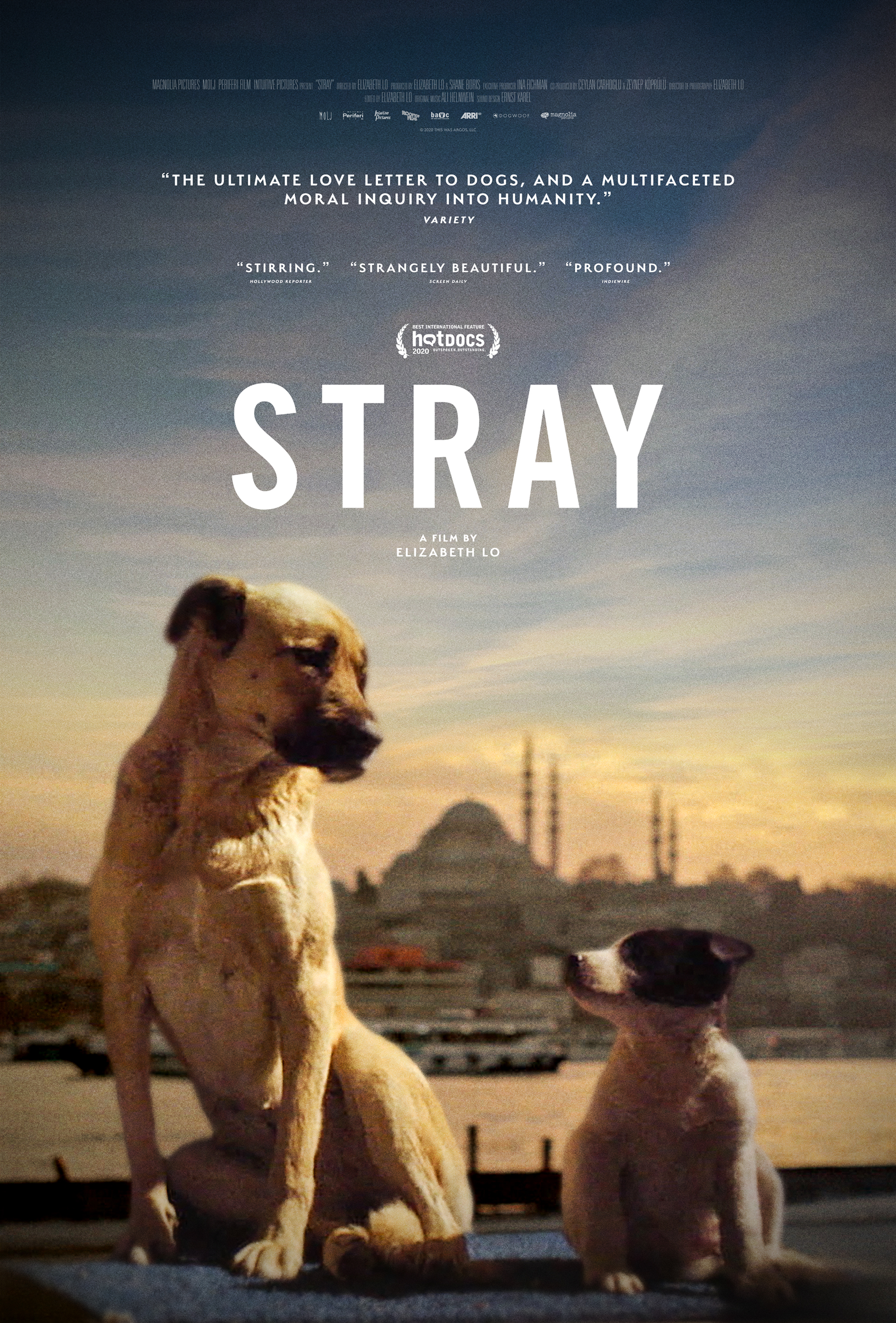 Poster for Stray