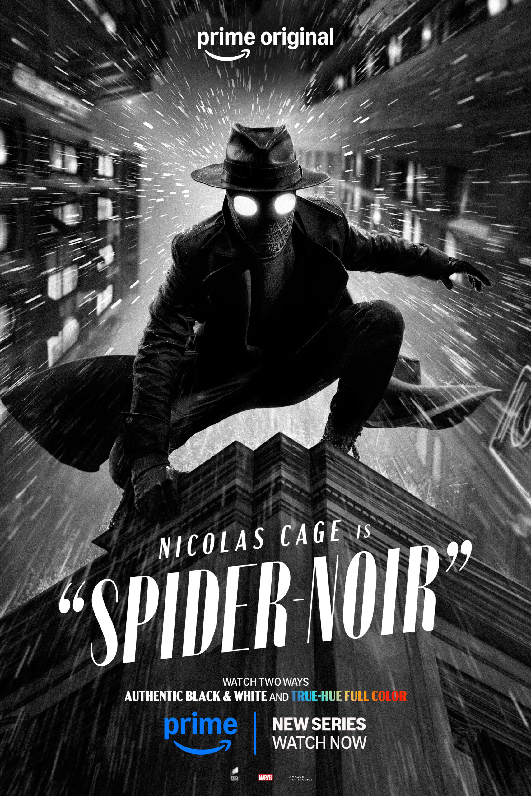 Poster for Spider-Noir