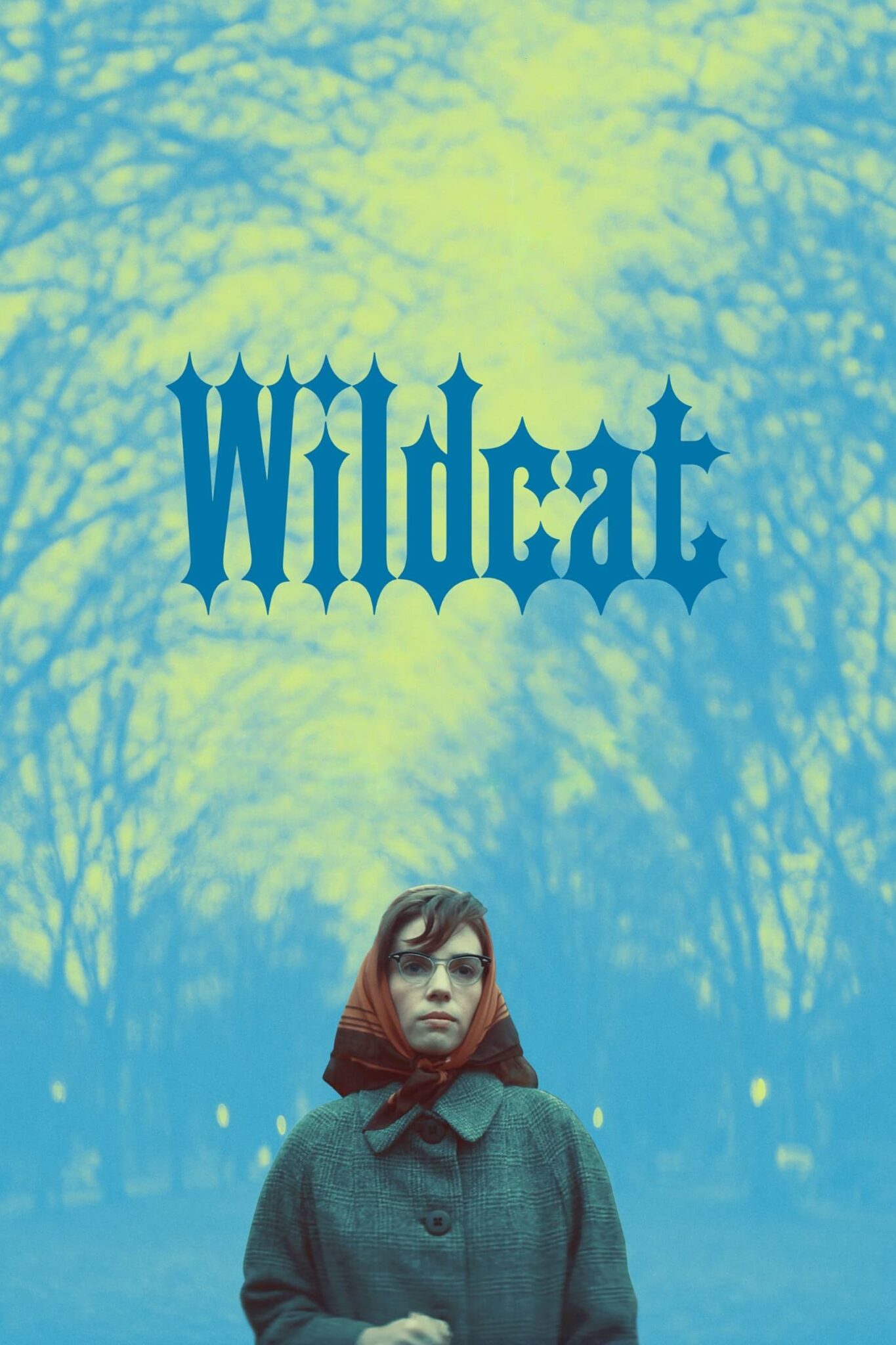 Wildcat Bedford Playhouse