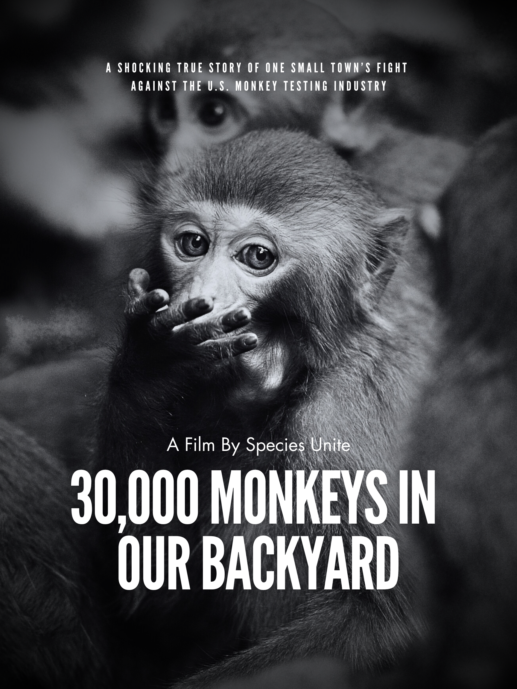 Poster for 30,000 Monkeys in Our Backyard