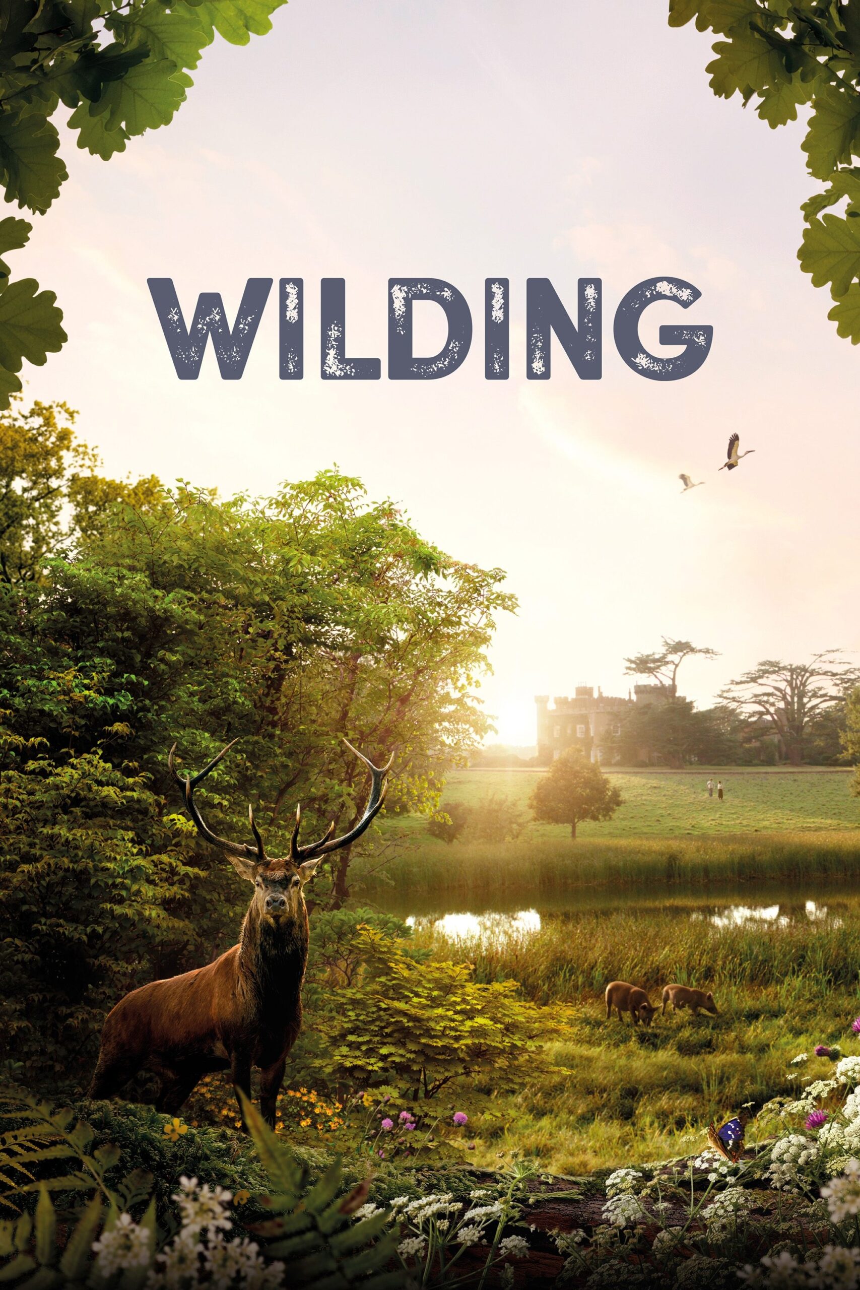 Poster for Wilding