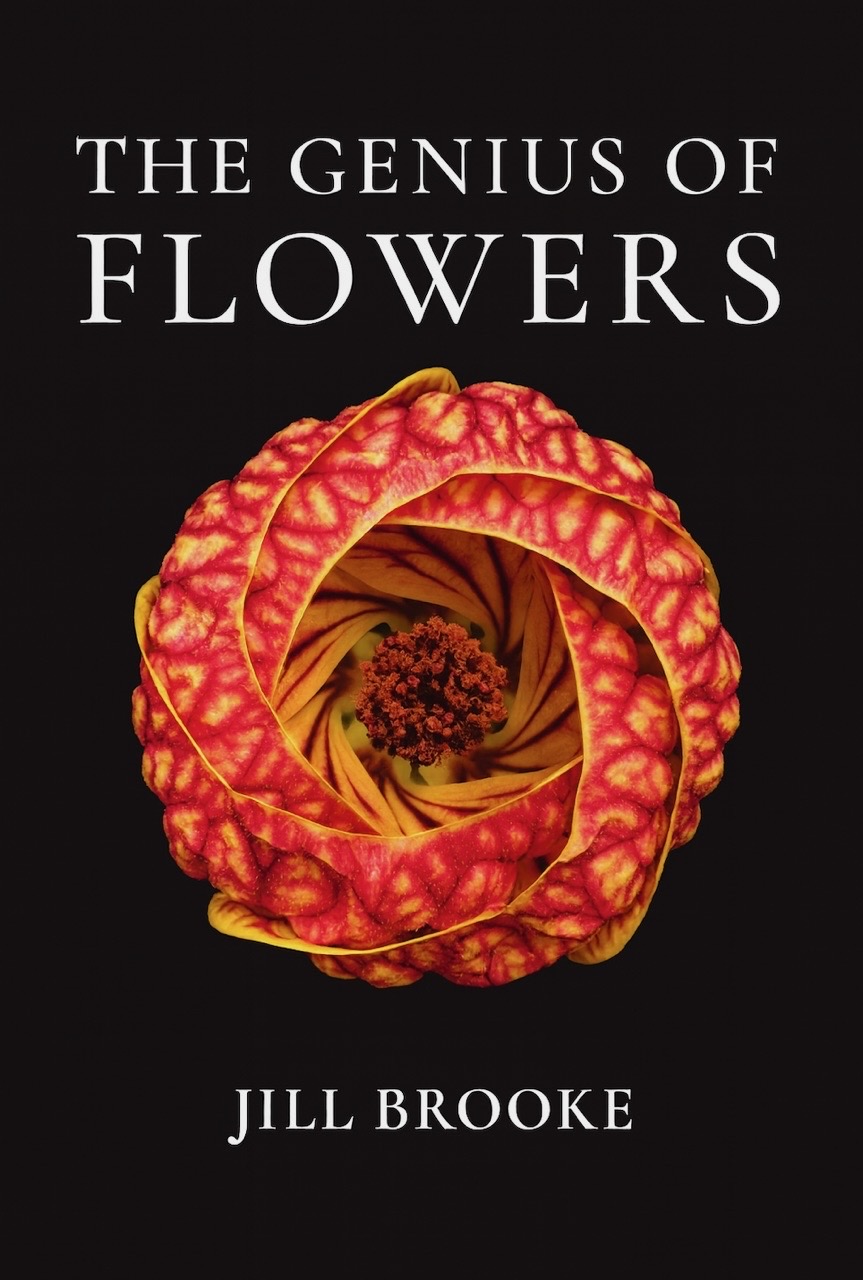 Poster for The Genius of Flowers with Jill Brooke