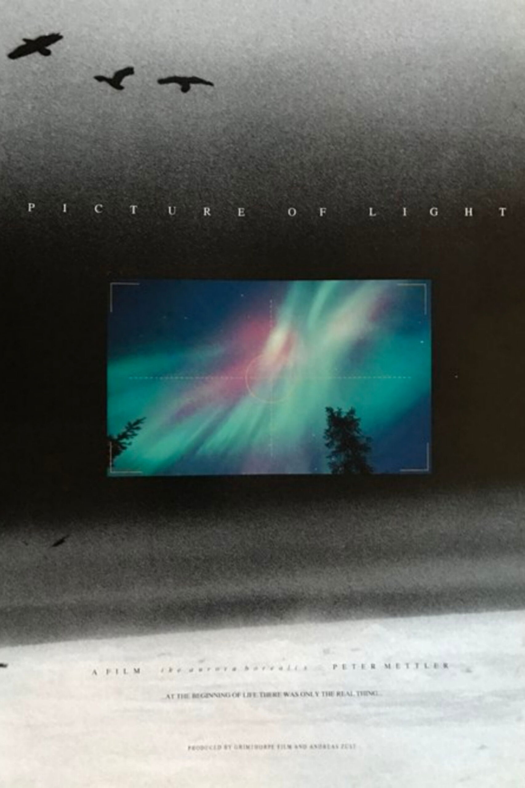 Poster for Picture of Light and Q&A