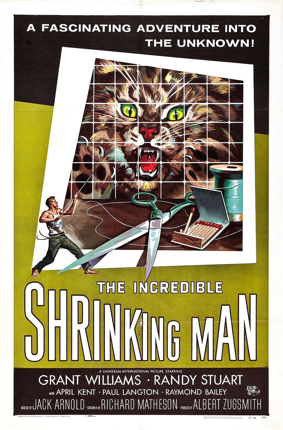Poster for The Incredible Shrinking Man