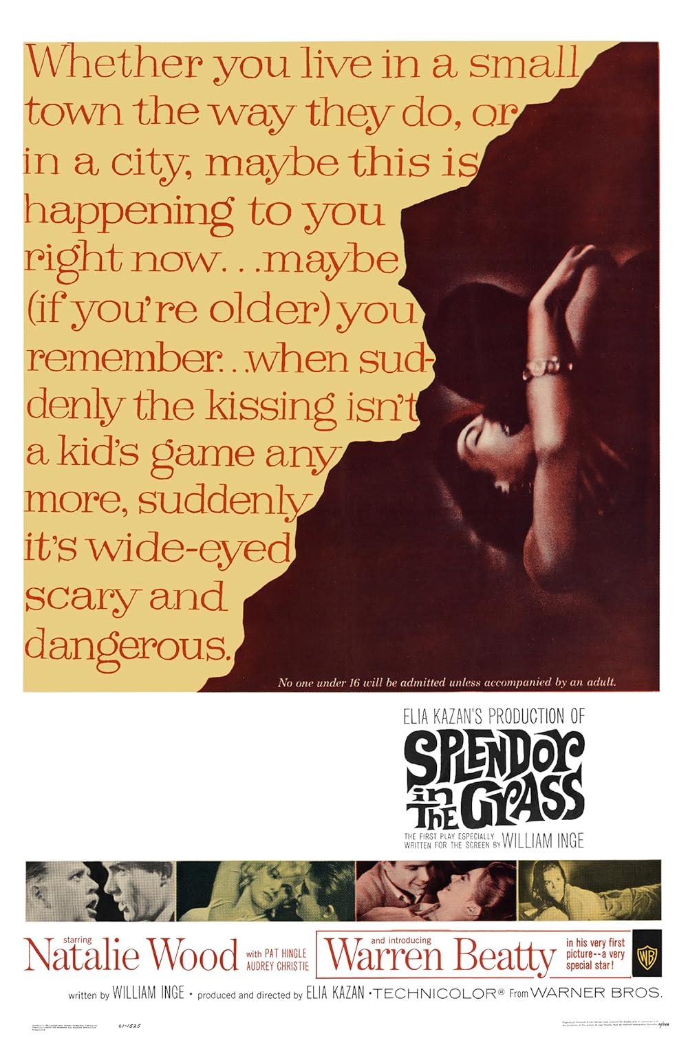 Poster for Splendor in the Grass