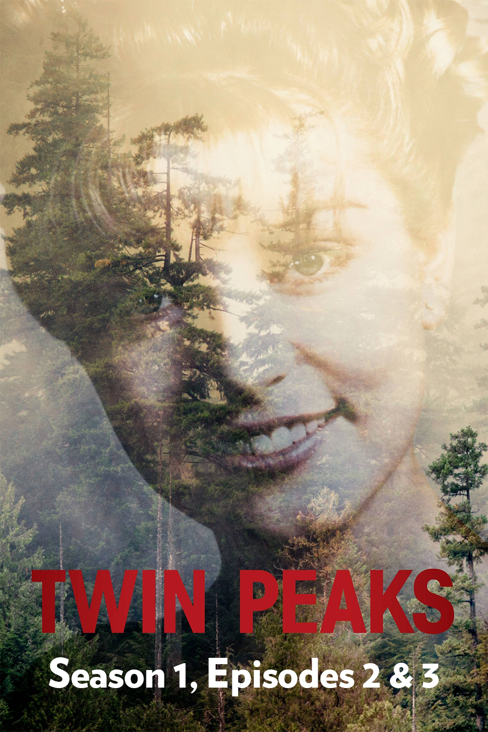 Poster for Twin Peaks: Season 1, Episodes 2 & 3