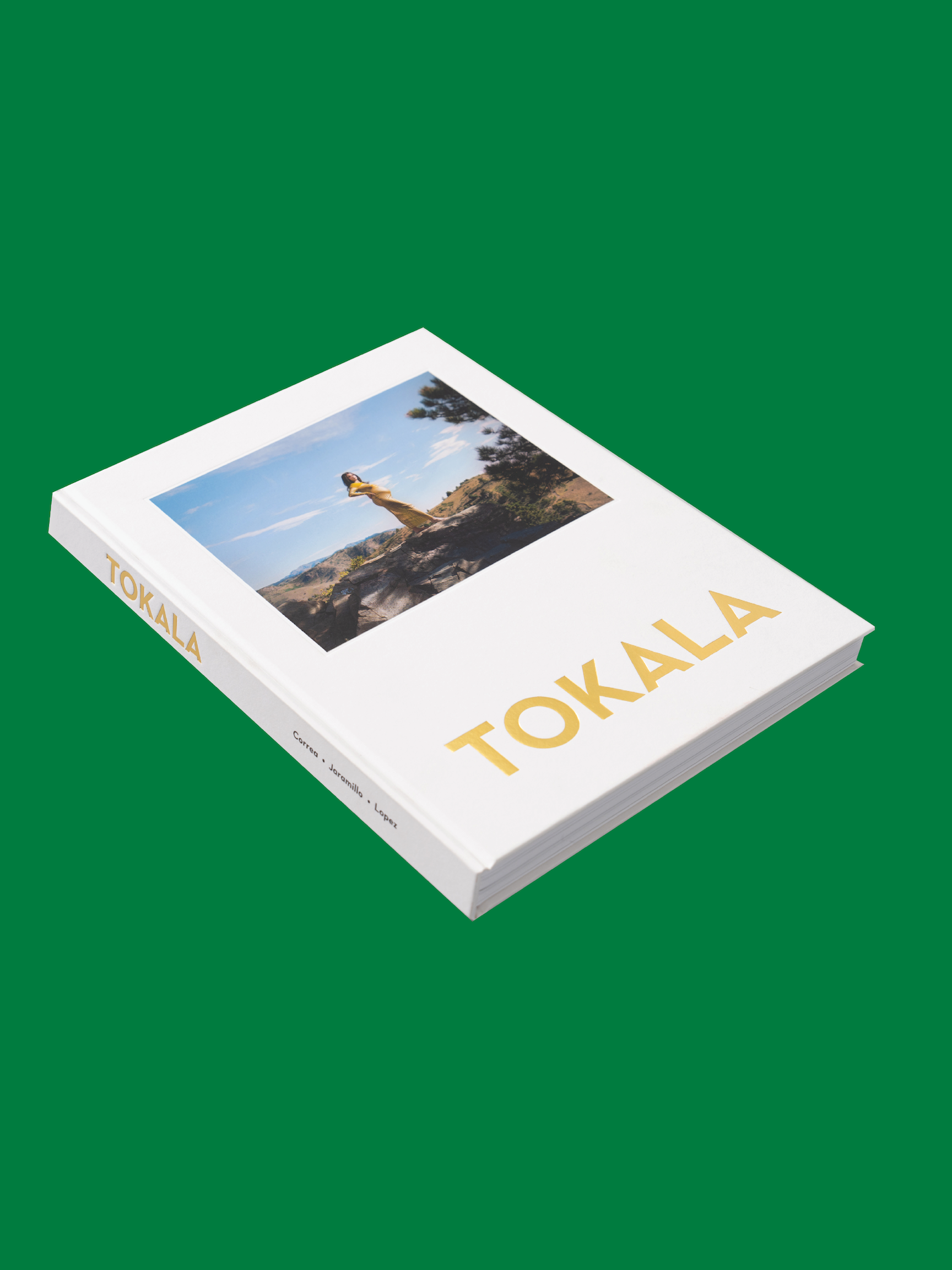 Poster for Tokala