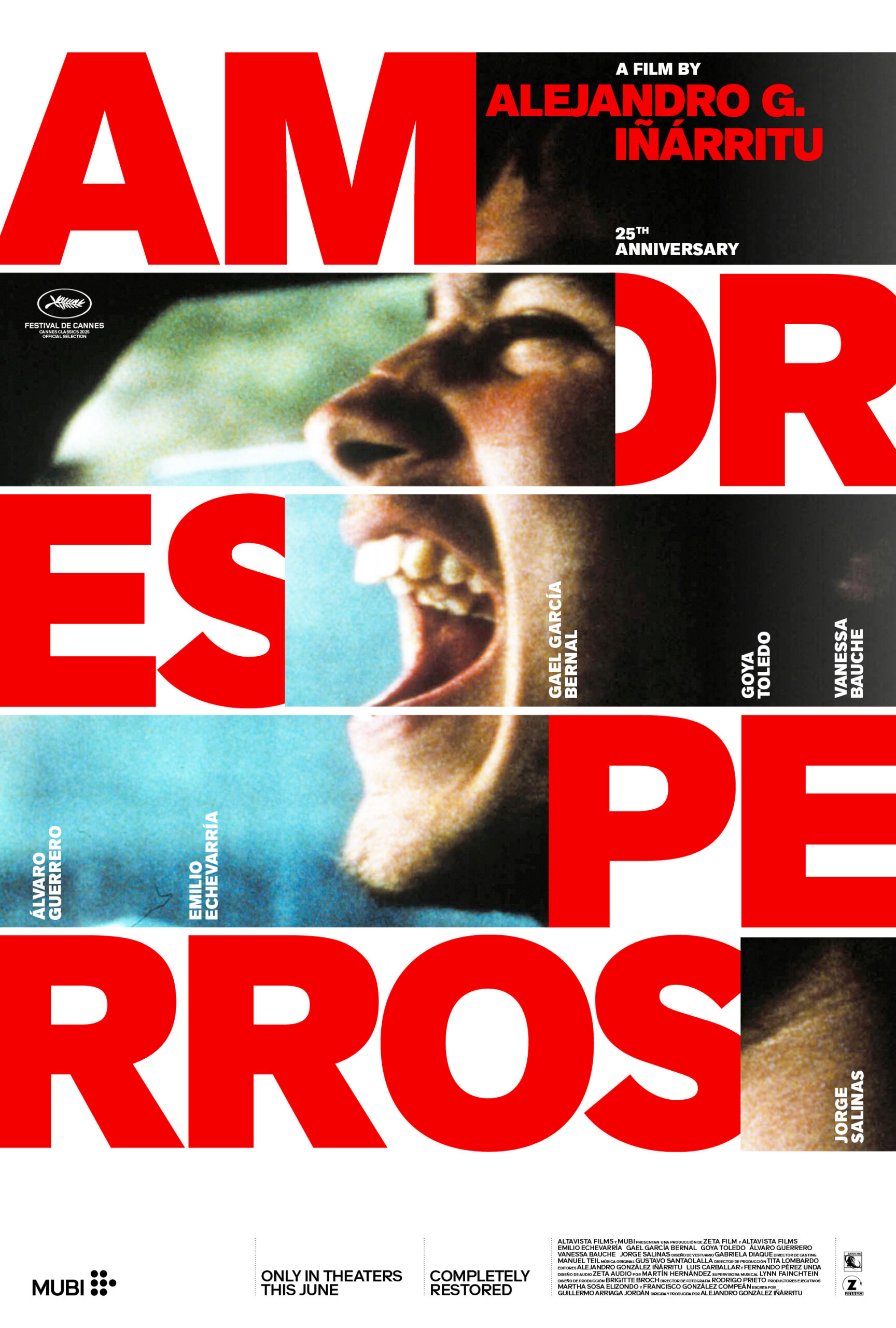 Amores Perros poster