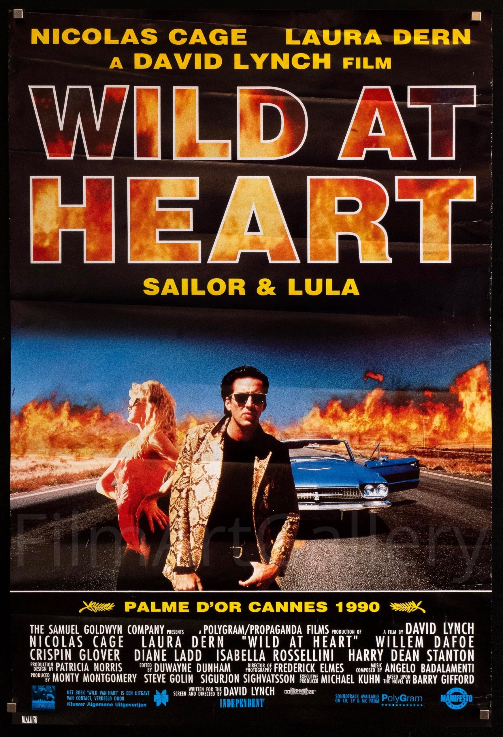 Wild at Heart posters