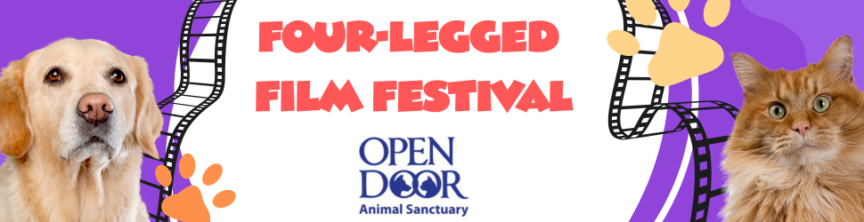 Four-Legged Film Festival