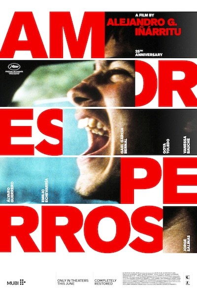 Amores Peros poster