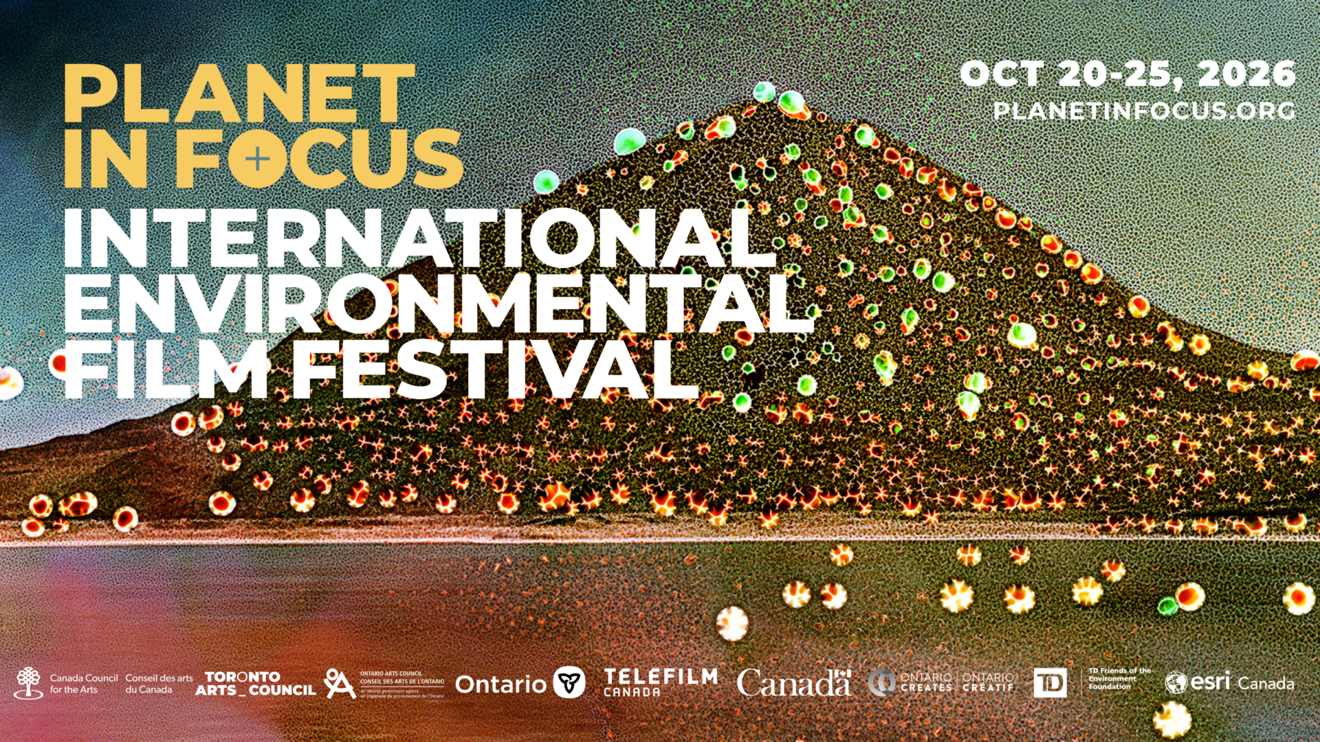 Planet in Focus: Shorts Program: Clear Cut- Films About Land, Loss and Resilience