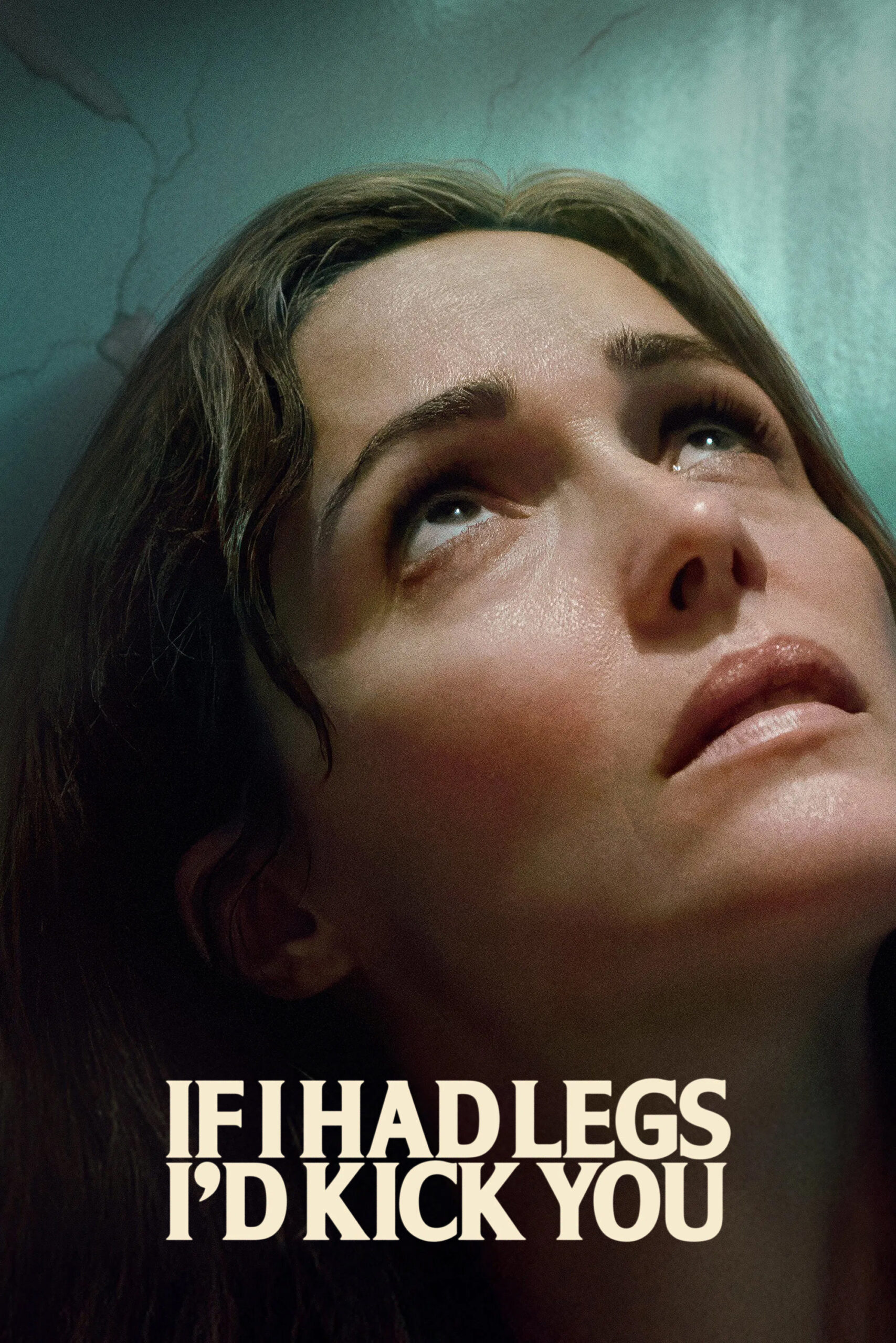 Poster for If I Had Legs I’d Kick You