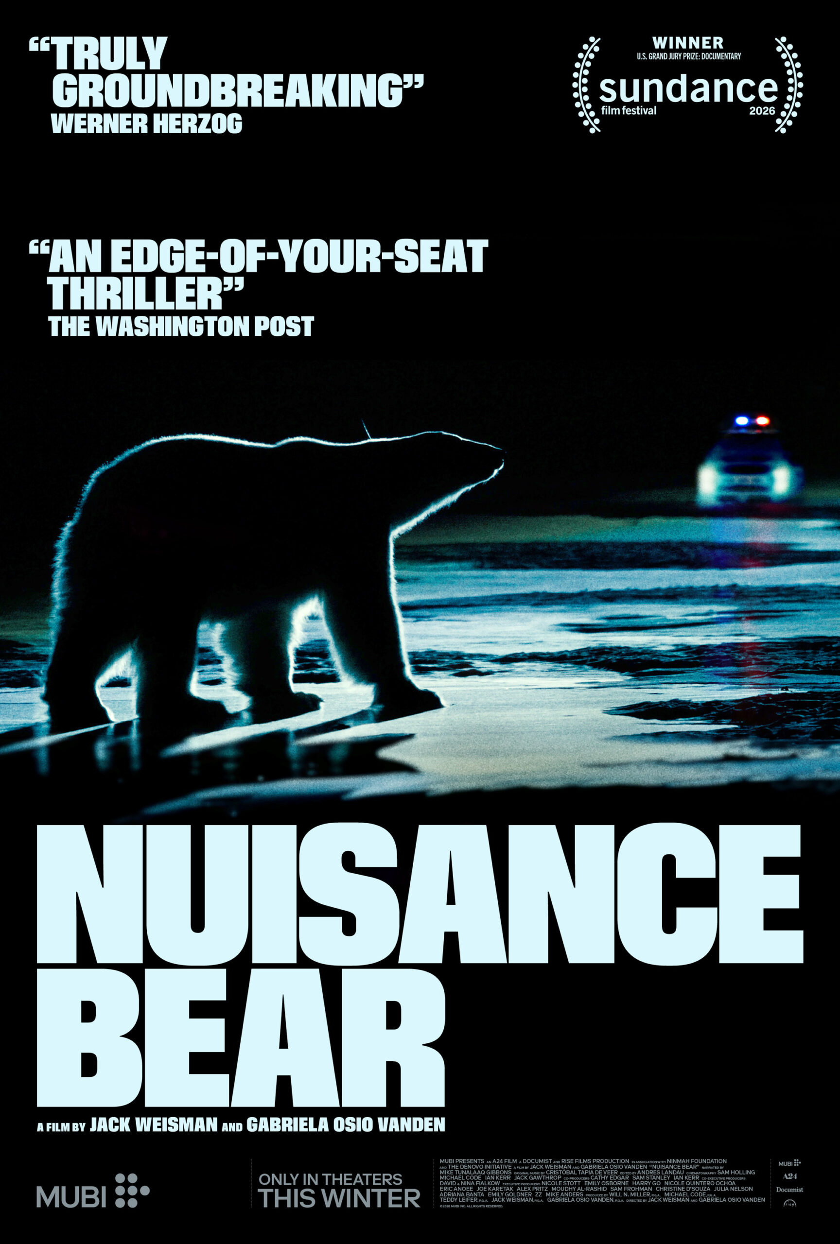 Poster for Nuisance Bear