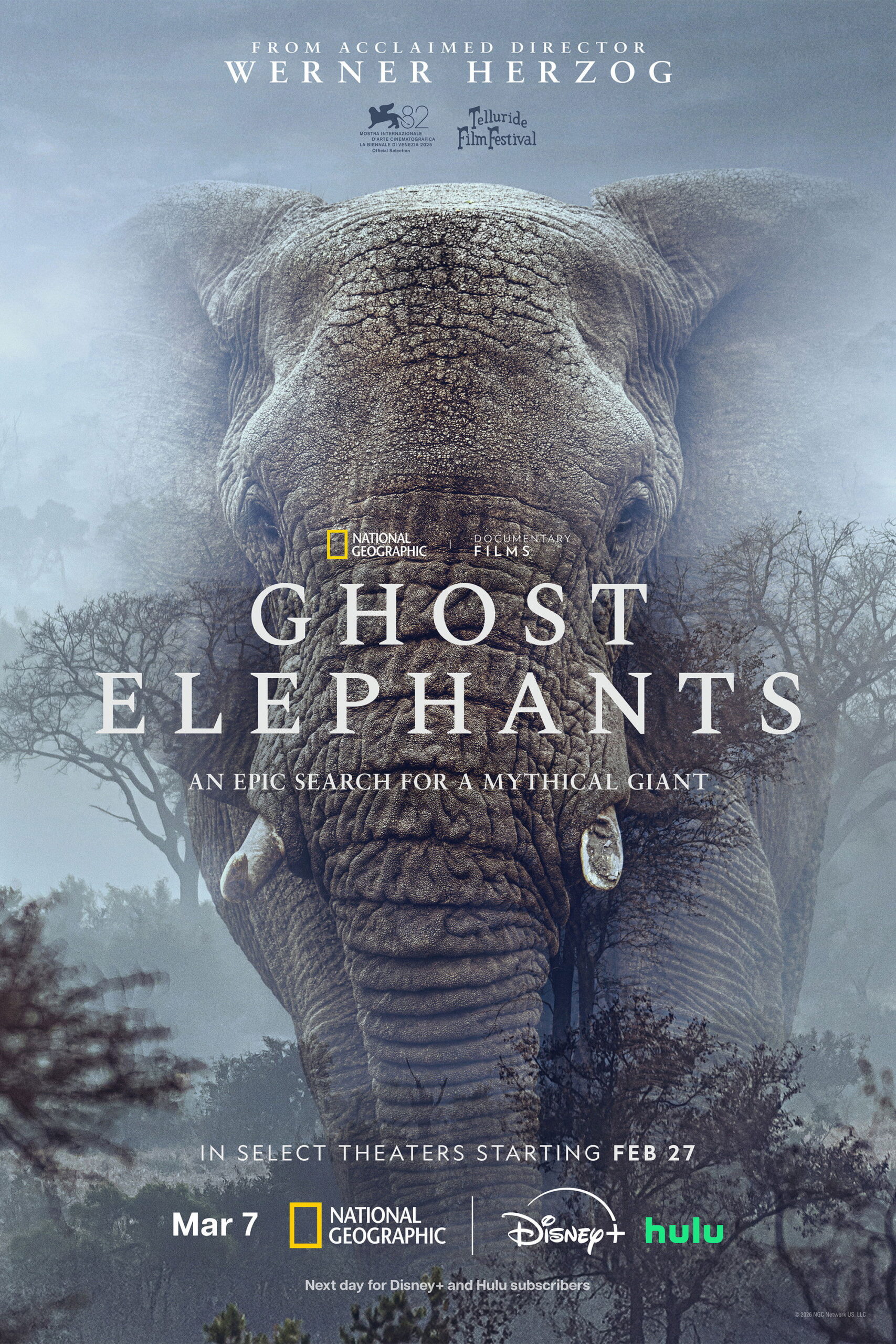 Poster for Ghost Elephants