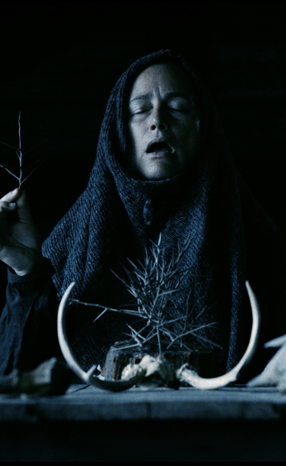 Poster for Mother of Flies