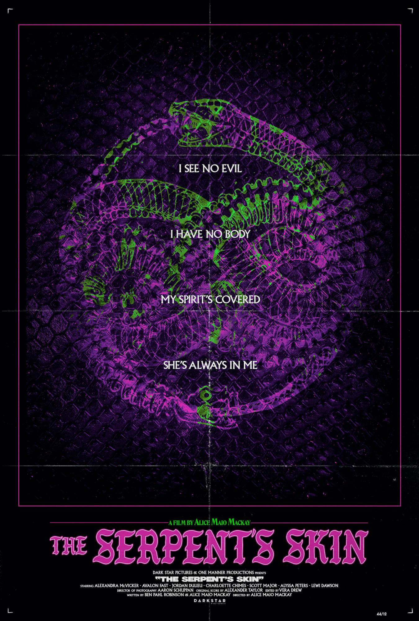 Poster for The Serpent’s Skin