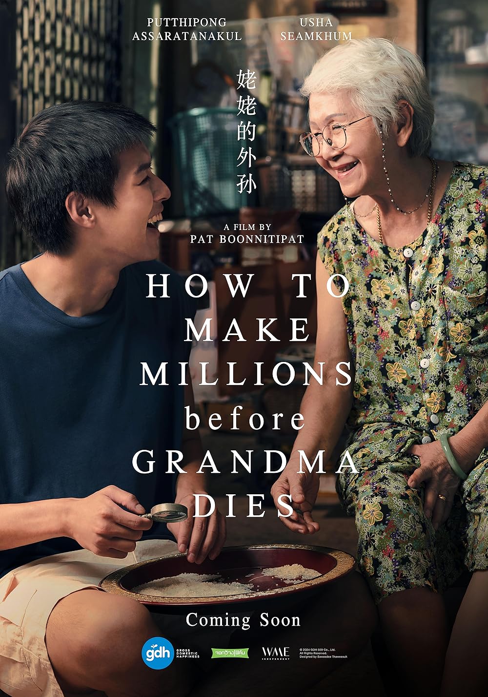 Poster for How to Make Millions Before Grandma Dies