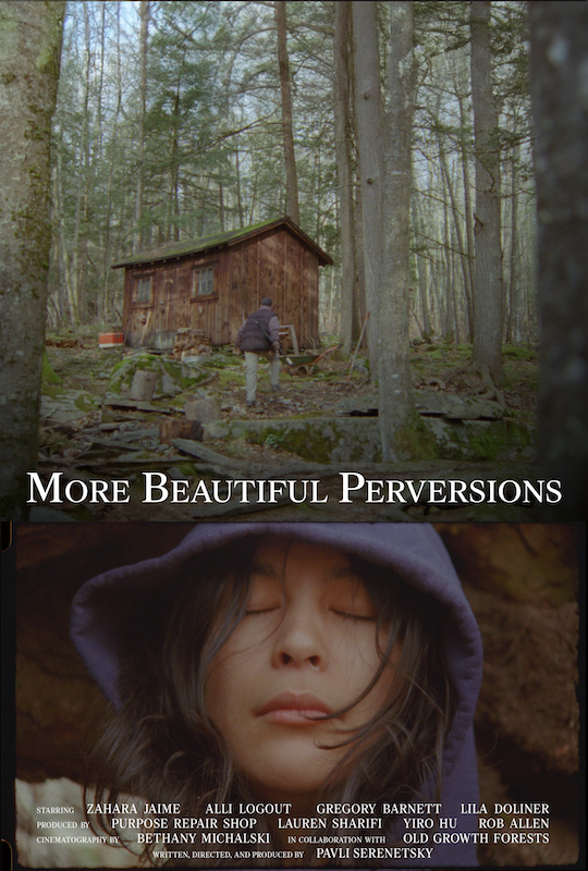 Poster for More Beautiful Perversions