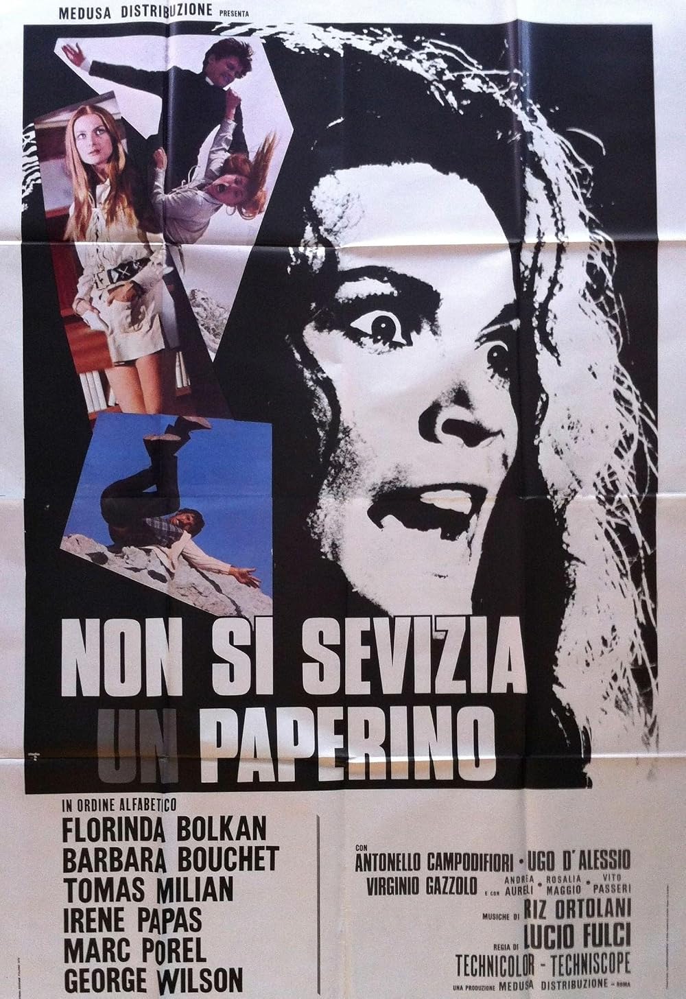 Poster for Don’t Torture a Duckling