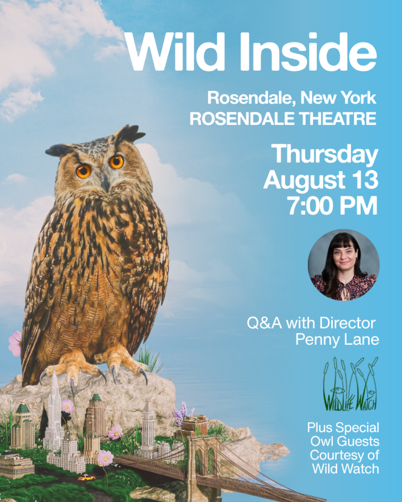Darn Good Docs – Wild Inside