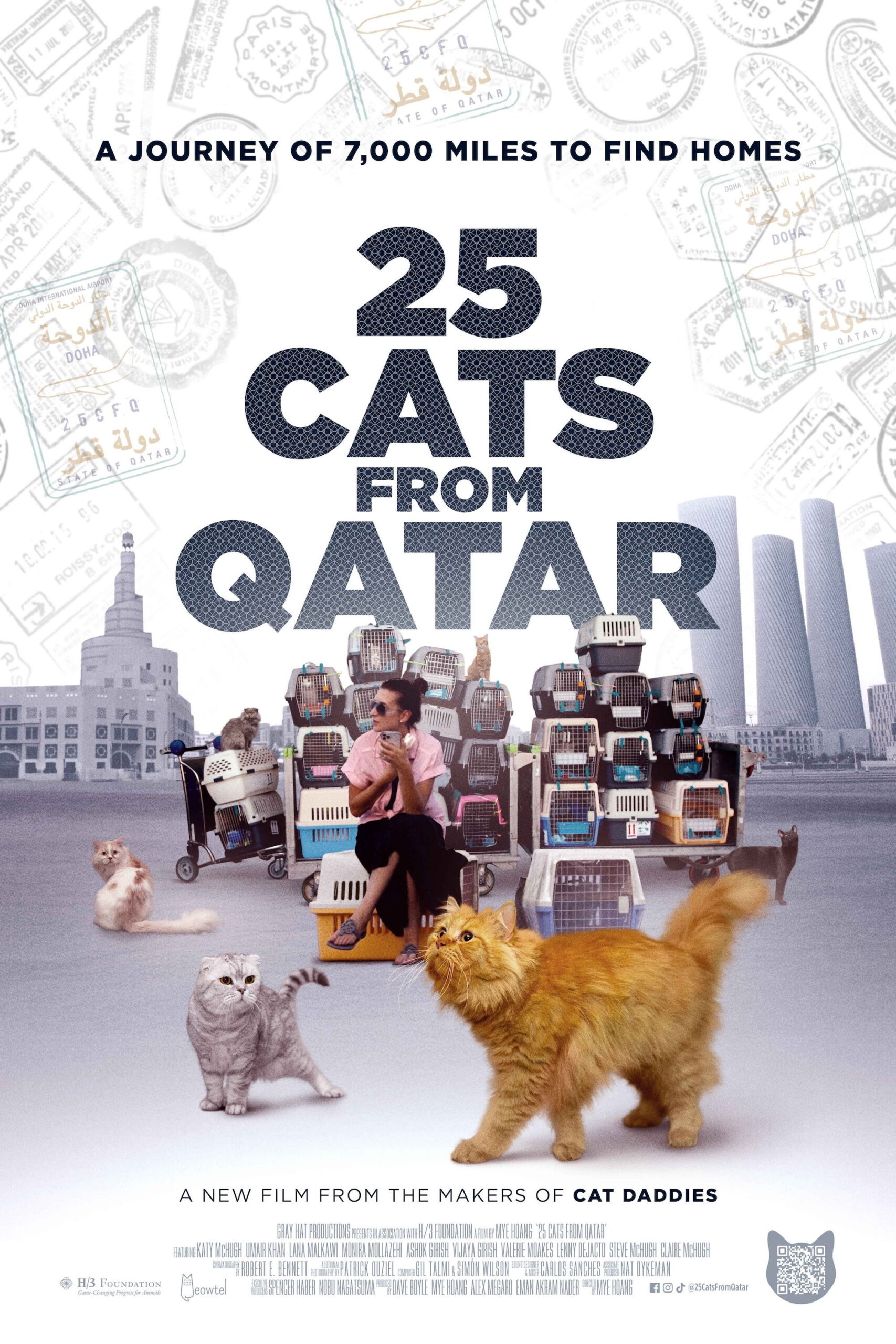 Poster for 25 Cats from Qatar