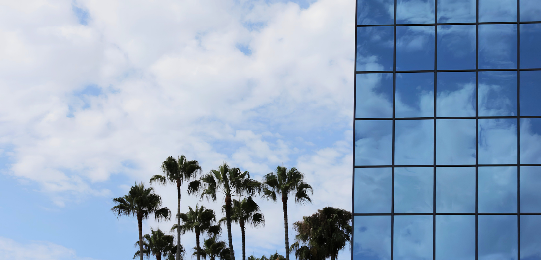 Palm trees against a cloudy blue sky beside the mirrored glass facade of a San Diego high-rise, 2021