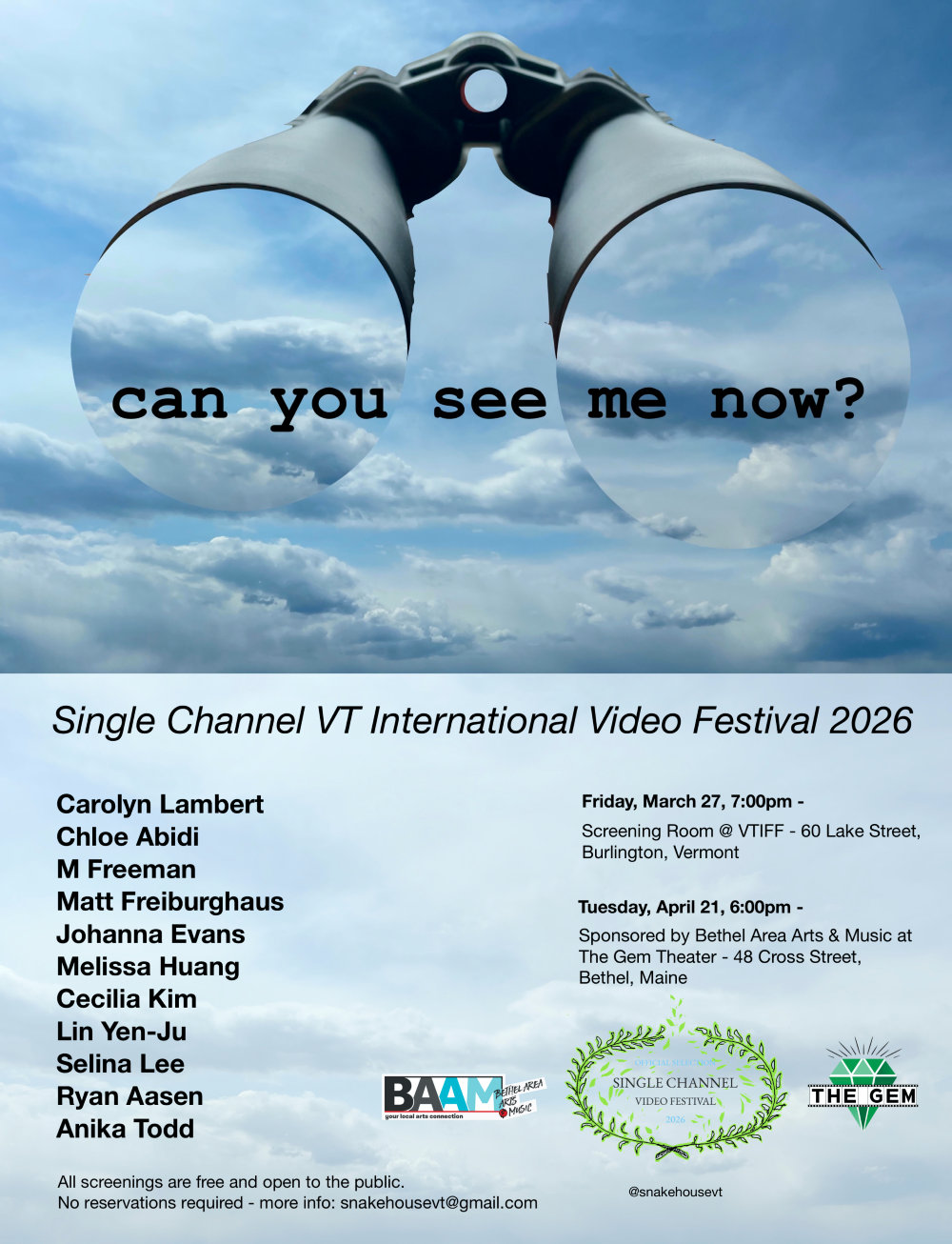 Poster for BAAM at The Gem Presents the Single Channel VT International Video Fest