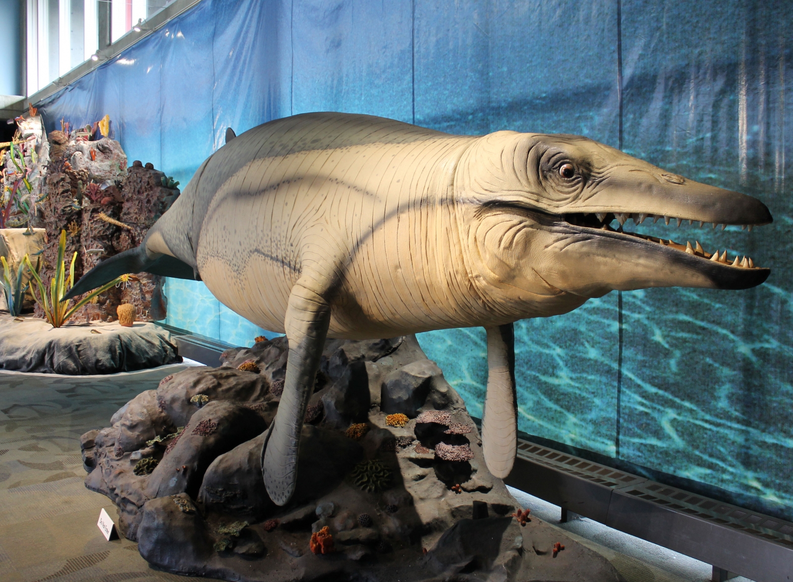 Sneak Peek Camden’s Adventure Aquarium Opens Dinosaurs of the Deep
