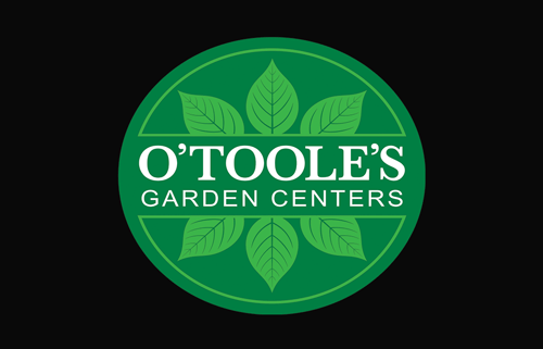 Digital Gift Card, sent by Email