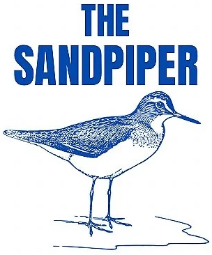 Sandpiper