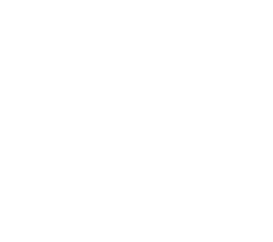 Bare Bones Grill