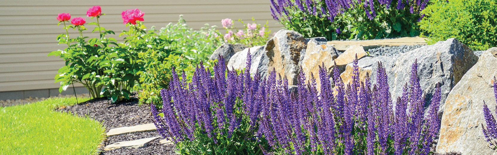 Shop Local or Shop Online at Clyde's Feed & Animal Center Pet Food, Pet Supplies, Equine