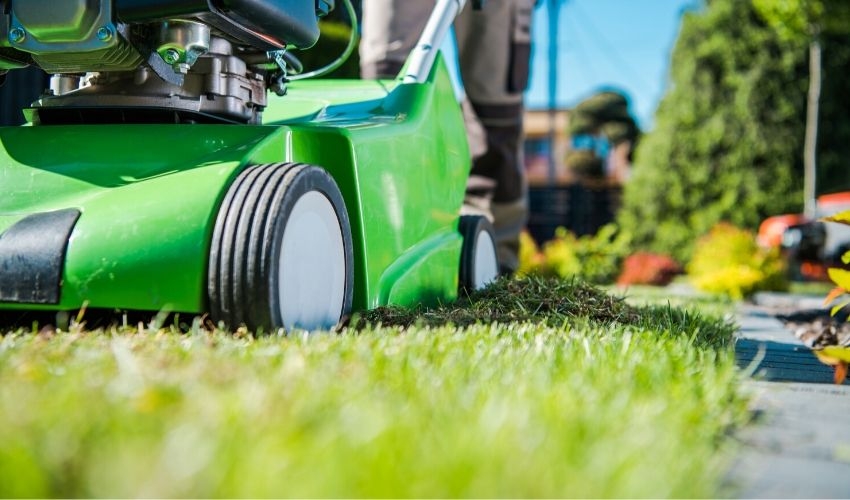 Why, When, and How to Dethatch a Lawn States Rental Service, Inc