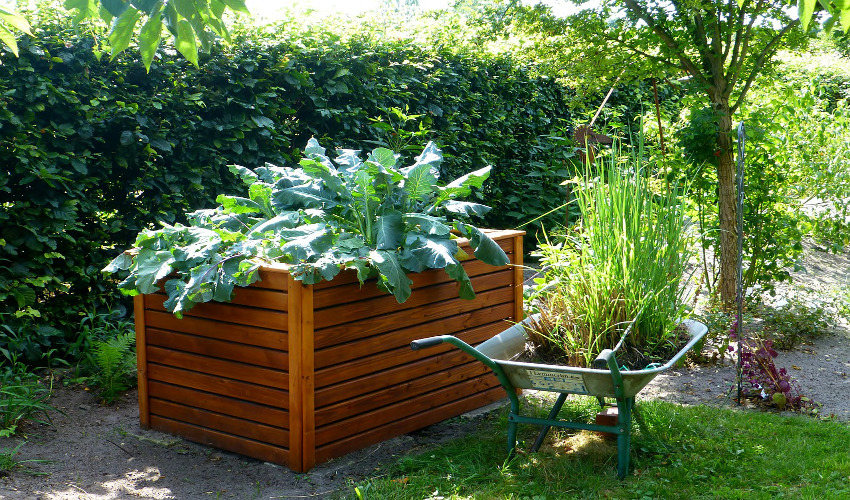 Build Your Own Raised Garden Bed MRT Lawn and Garden Center Port Charlotte, FL Venice, FL