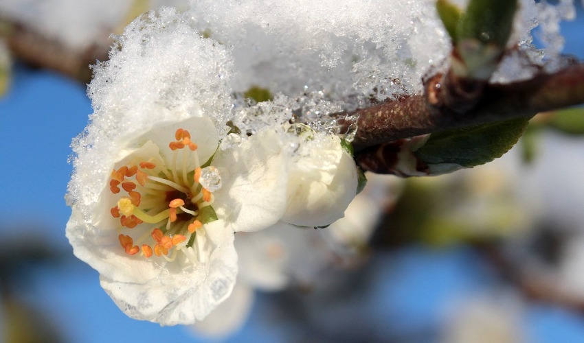 Home Taylor Rental Sallisaw Sallisaw, OK