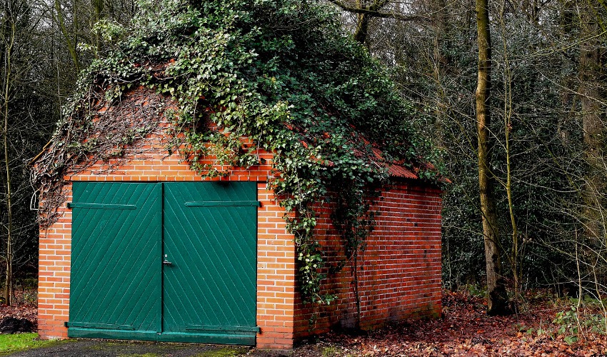 Rent the Equipment you’ll Need for Heavy Weed Mowing Total True Value