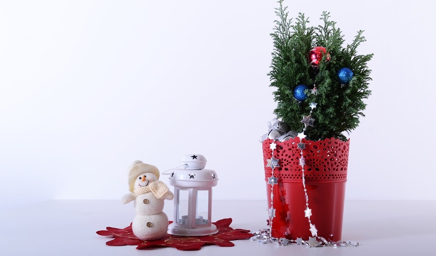 How to Make a Holiday Porch Pot East River Nursery Huron, SD