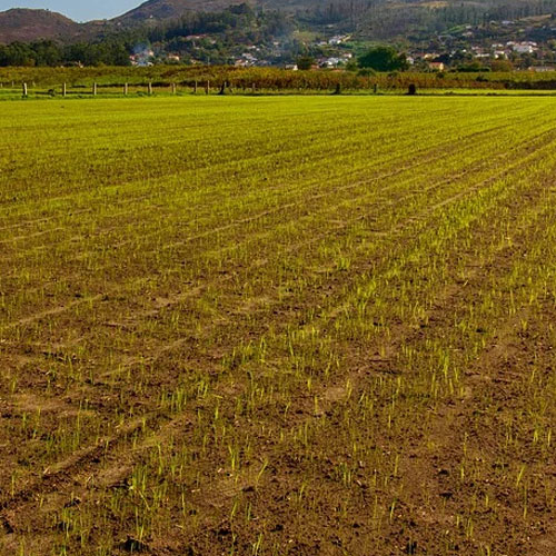 Services We Offer Propane & Home Heating, Bulk Delivery, Grass Seeder