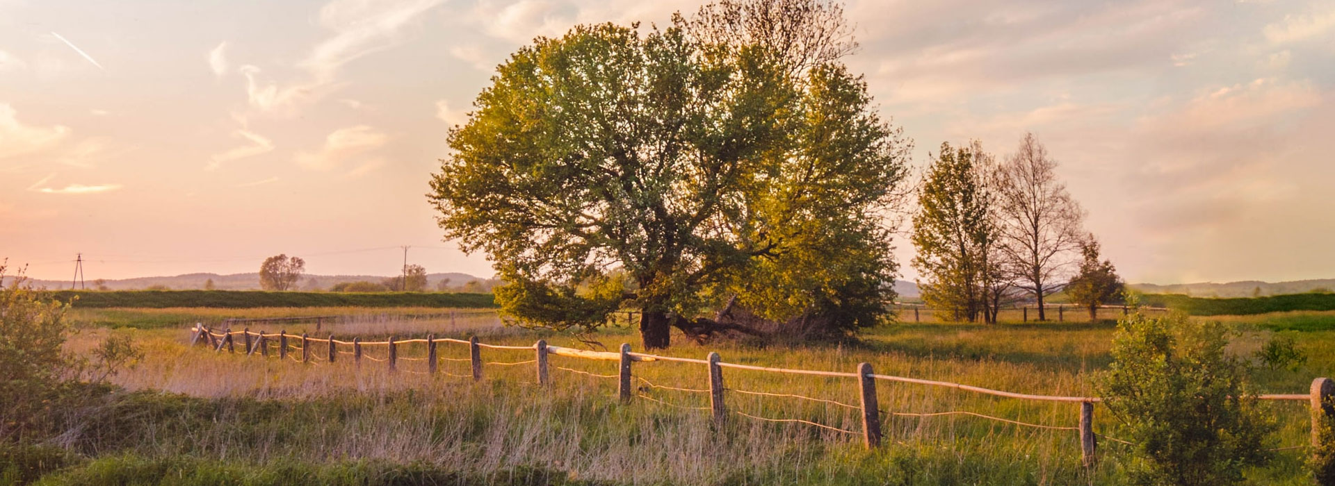 Home Midway Farm Supply Inc. Commerce, GA