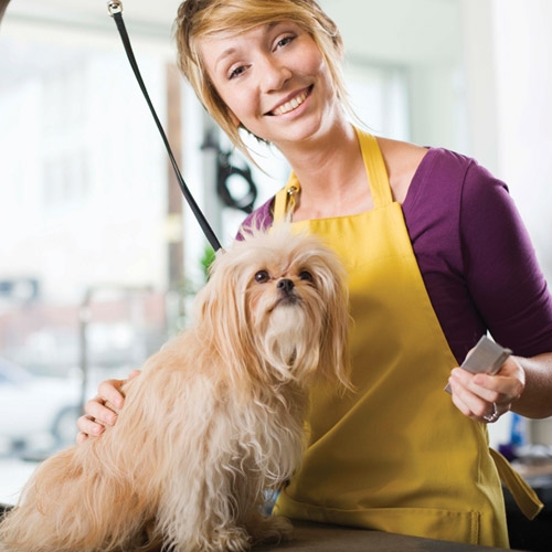 Happy Dog Grooming Shoppe