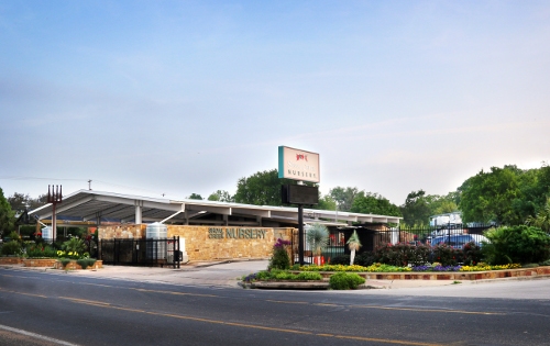 Our Gallery | Shoal Creek Nursery LLC | Austin, TX