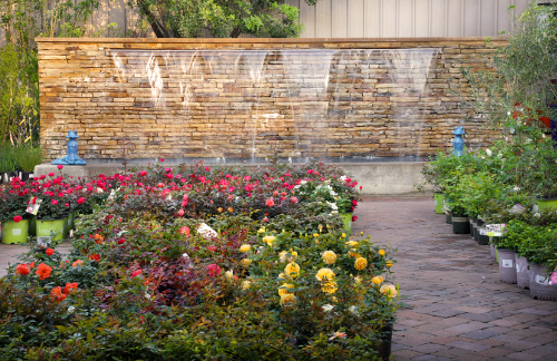 Our Gallery | Shoal Creek Nursery LLC | Austin, TX