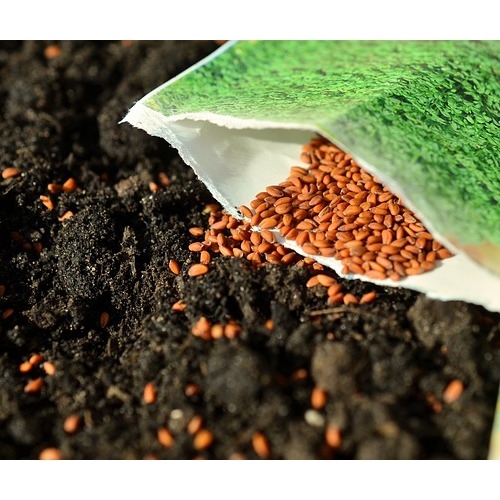 Bulk Seeds Vegetables, Fruit, & Plants R&J Feed Supply