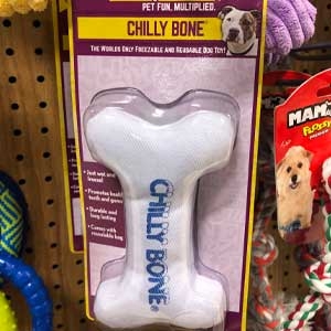 chilly bone