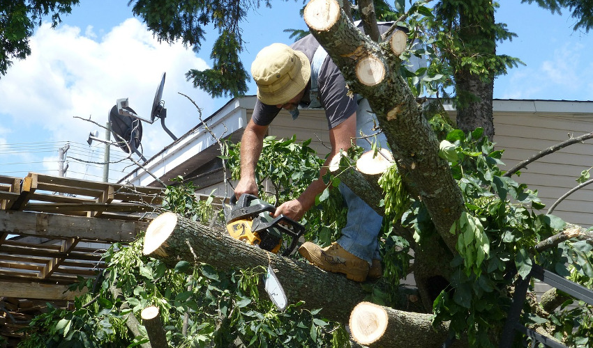 Renting Storm Cleanup Equipment Taylor True Value Rental Sebring