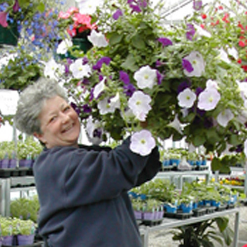 Nursery, Lawn Supplies, Carhartt Clothing, Grills, Equine Supplies