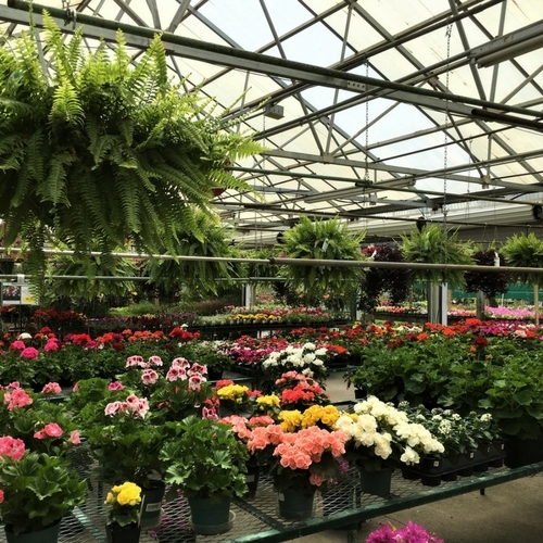 Departments at Walnut Ridge Walnut Ridge Nursery and Garden Center
