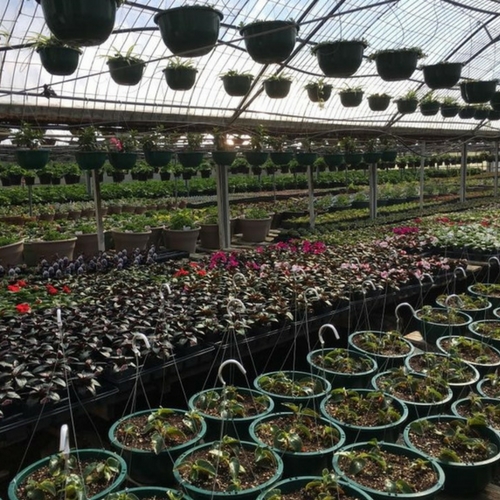 Departments at Walnut Ridge Walnut Ridge Nursery and Garden Center